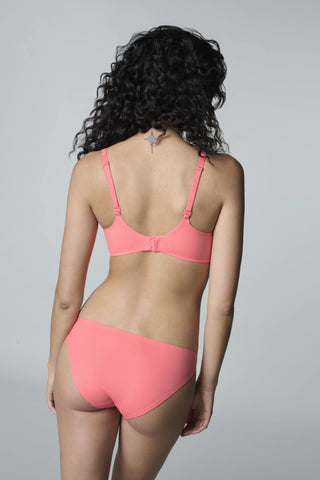 Hibiscus_rb