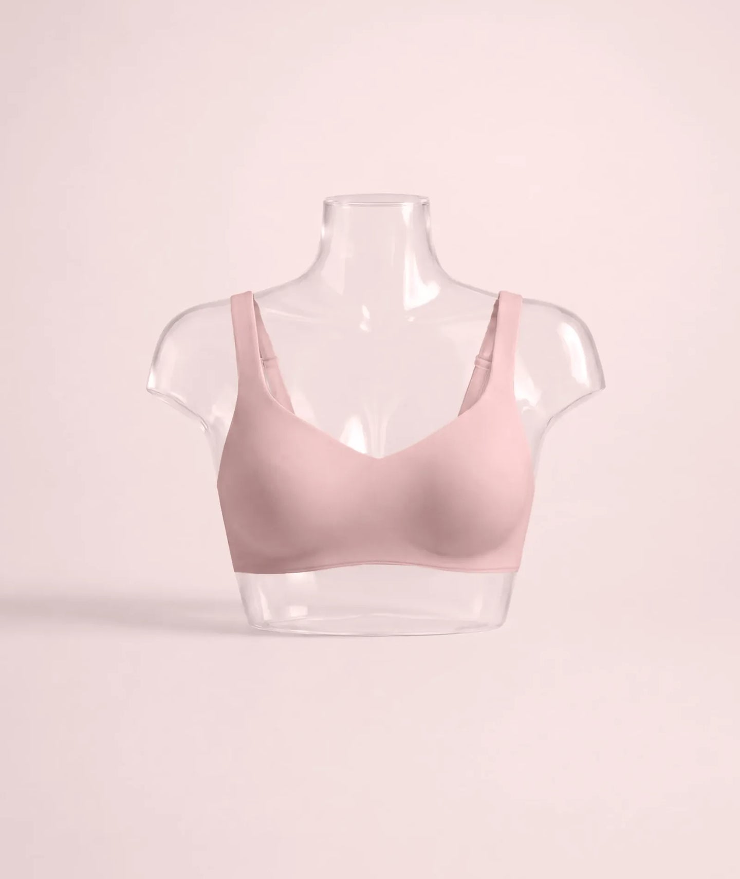 Camellia_bust_rb